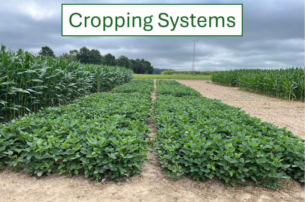 Screenshot 2026-01-29 152416.png